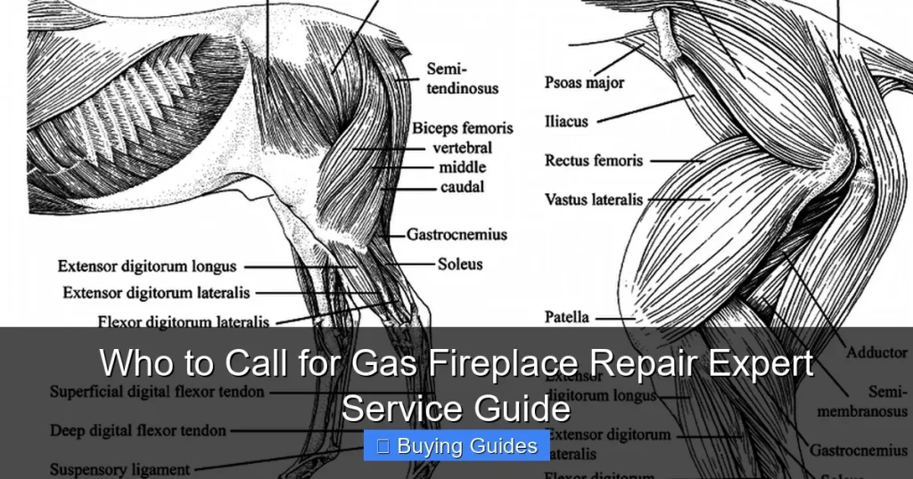 Who to Call for Gas Fireplace Repair Expert Service Guide